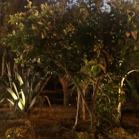 Casa Vacanze Astori Trabia Exteriér fotografie