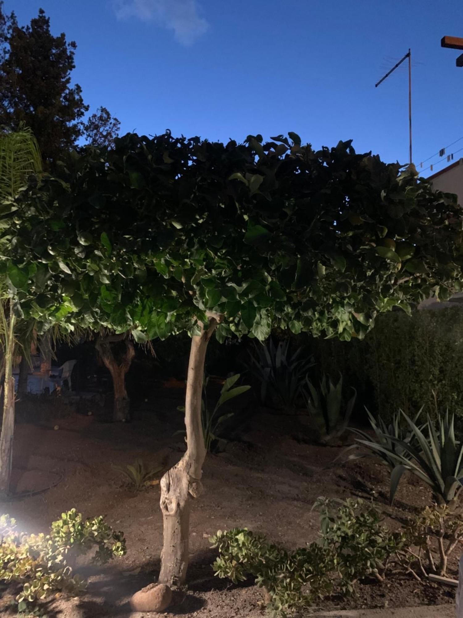 Casa Vacanze Astori Trabia Exteriér fotografie