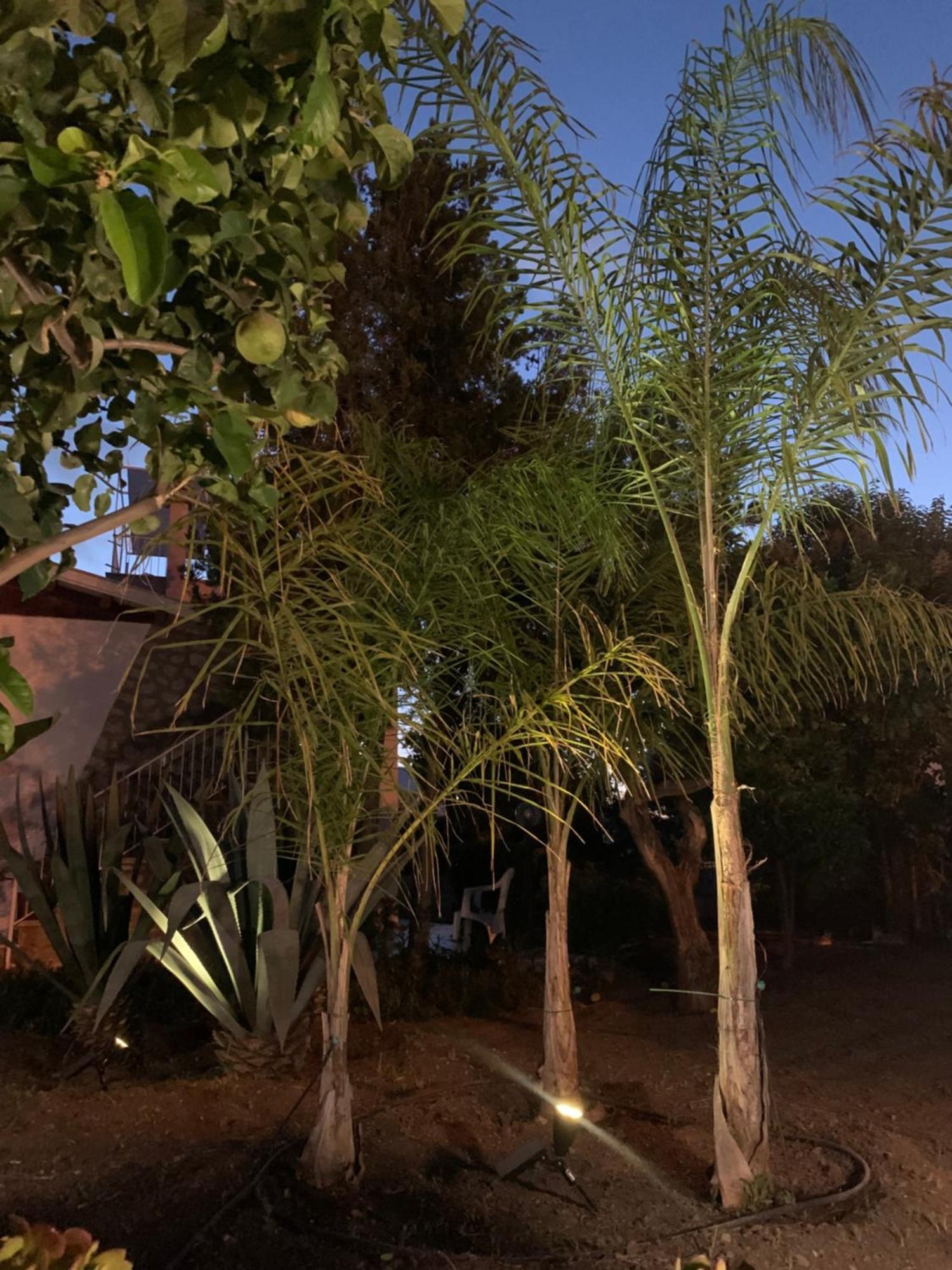 Casa Vacanze Astori Trabia Exteriér fotografie